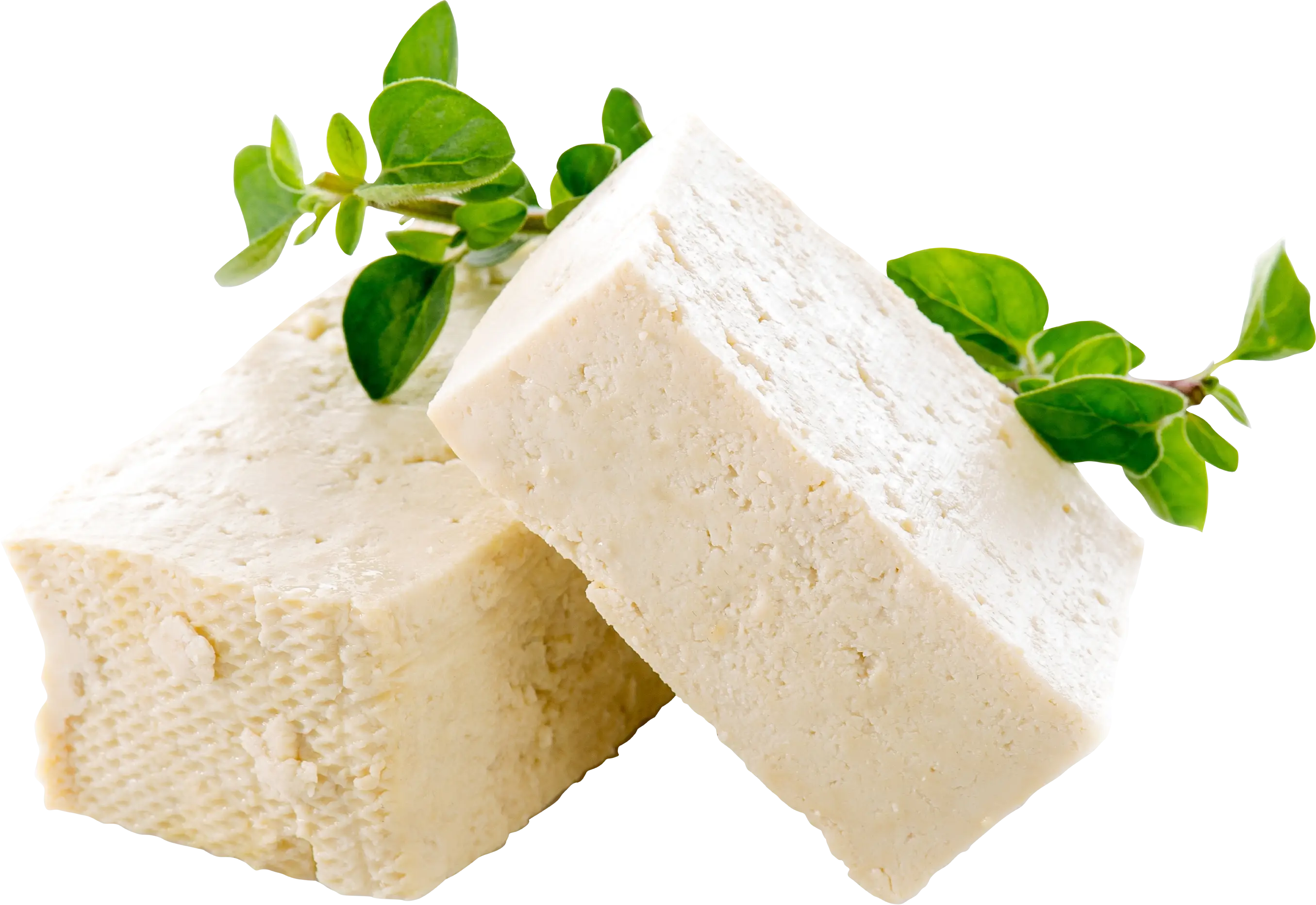 Fresh Tofu Blocks with Herbs