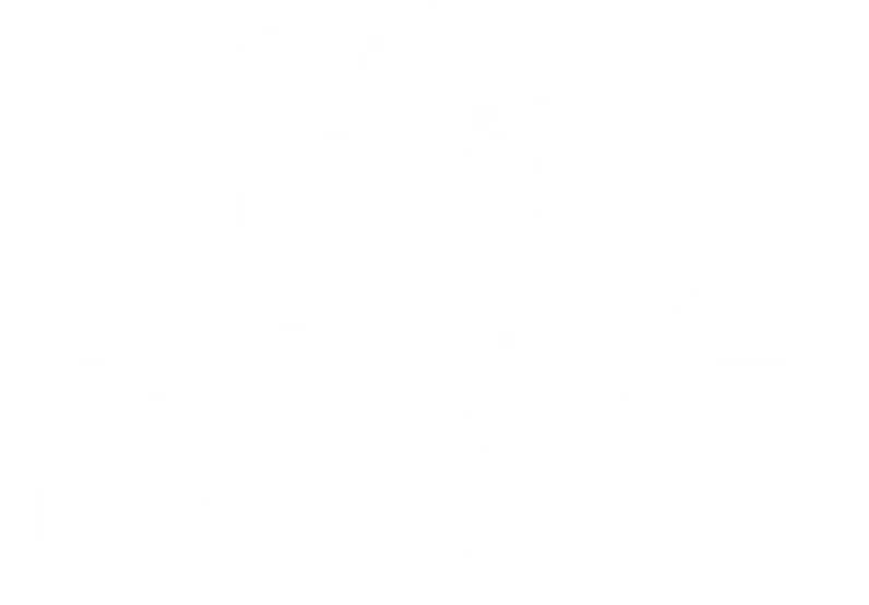 Transparent Decorative Pattern