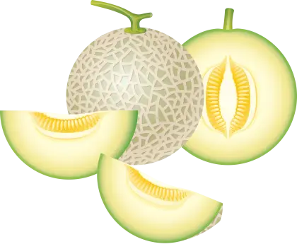Whole Cantaloupe and Fresh Slices