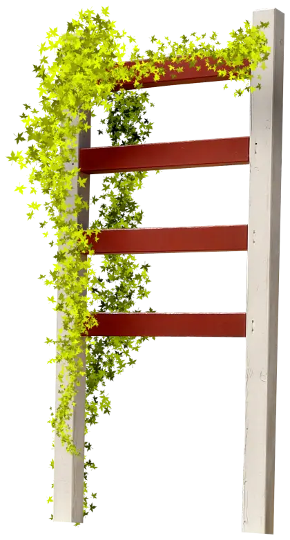 Wooden Trellis with Climbing Vines