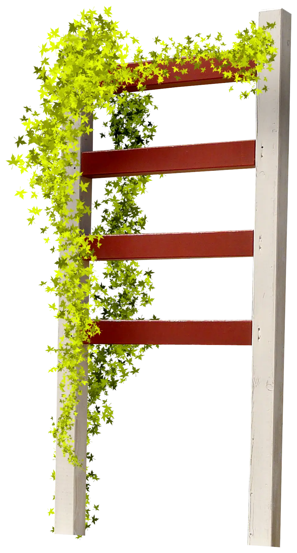 Wooden Trellis with Climbing Vines