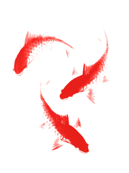 Red Koi Fish Watercolor Design