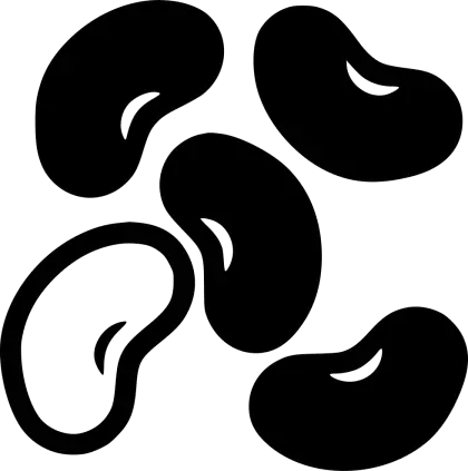 Black Beans Icon
