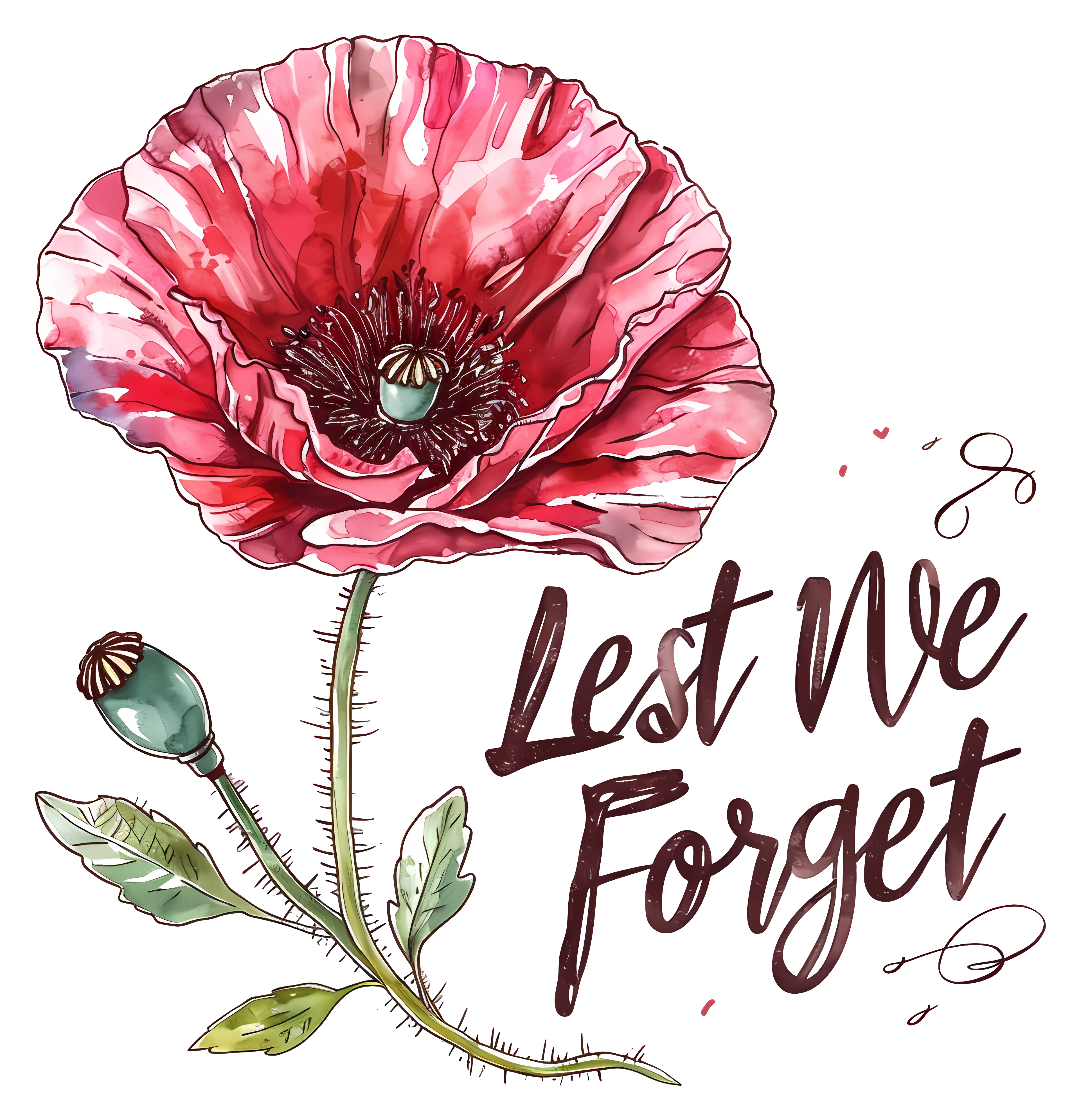 Red Poppy Illustration for Remembrance Day