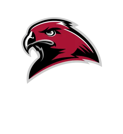 Hawk Logo