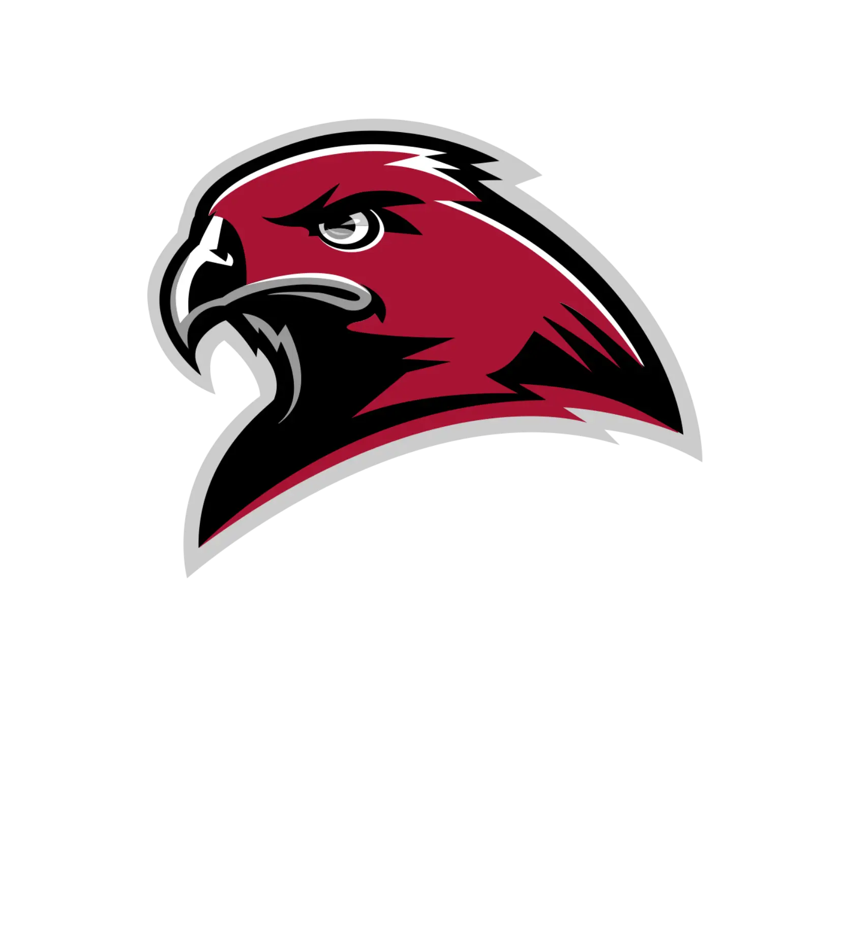 Hawk Logo