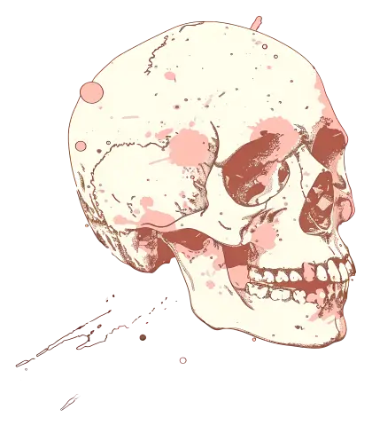 Anatomical Skull Illustration
