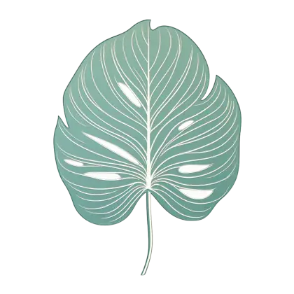 Green Leaf Illustration