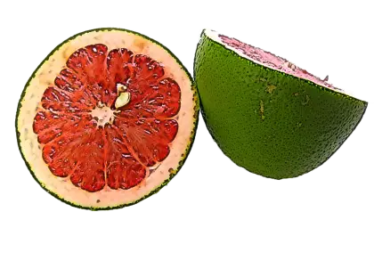 Fresh Red Grapefruit with Slice