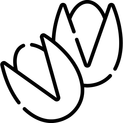 Outline of Pistachio Nuts