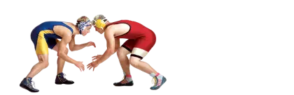 Wrestlers in a Match