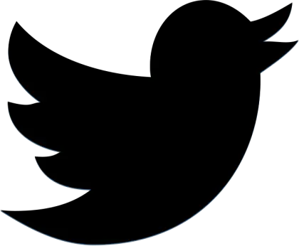 Bird Silhouette Social Media Icon
