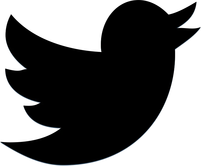 Bird Silhouette Social Media Icon