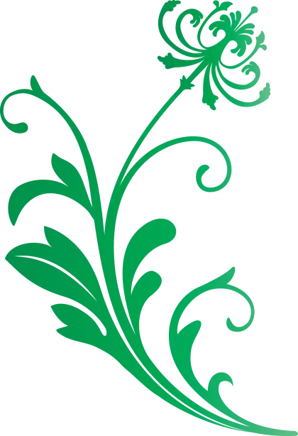 Green Ornamental Plant Design Illustration