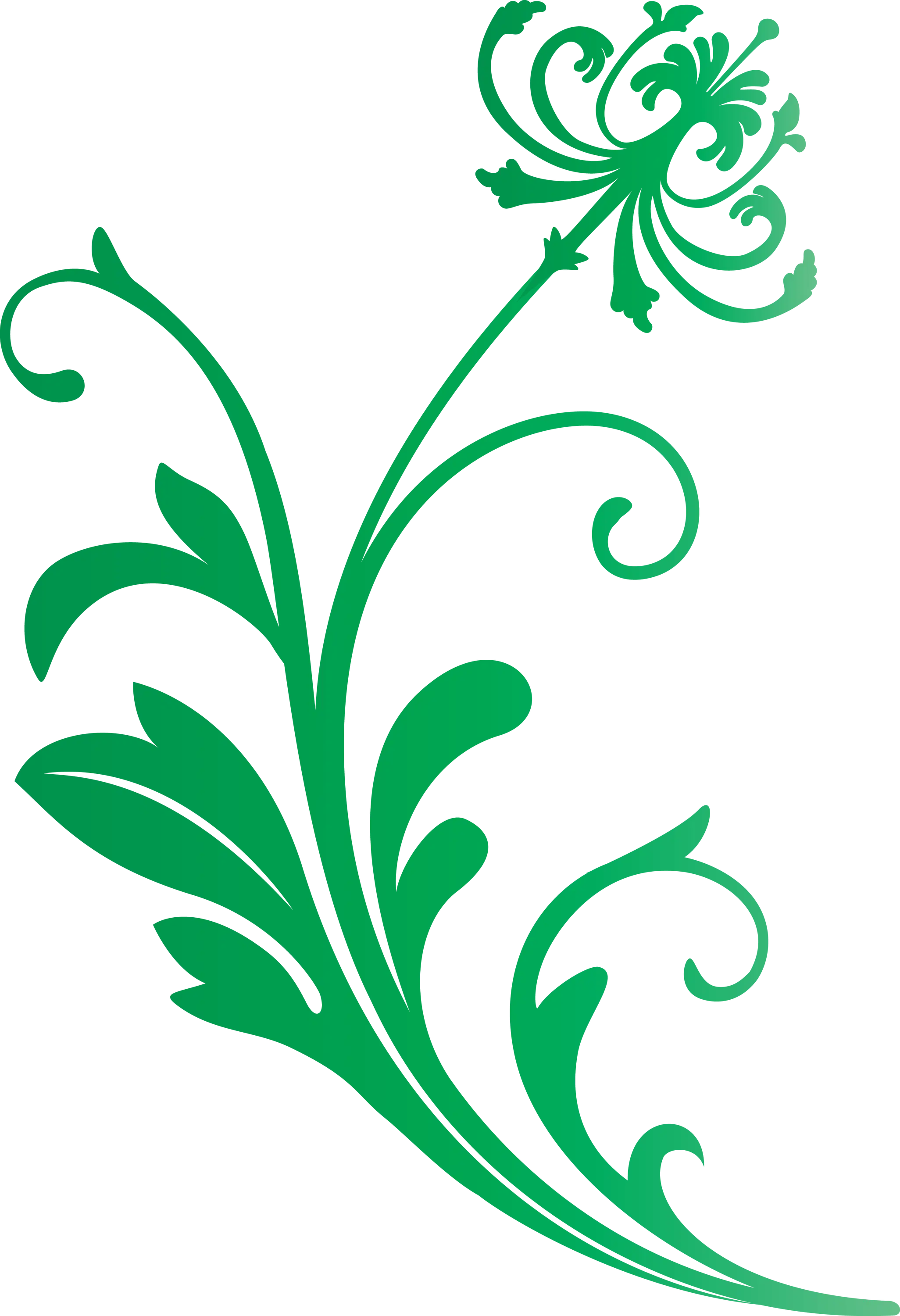 Green Ornamental Plant Design Illustration