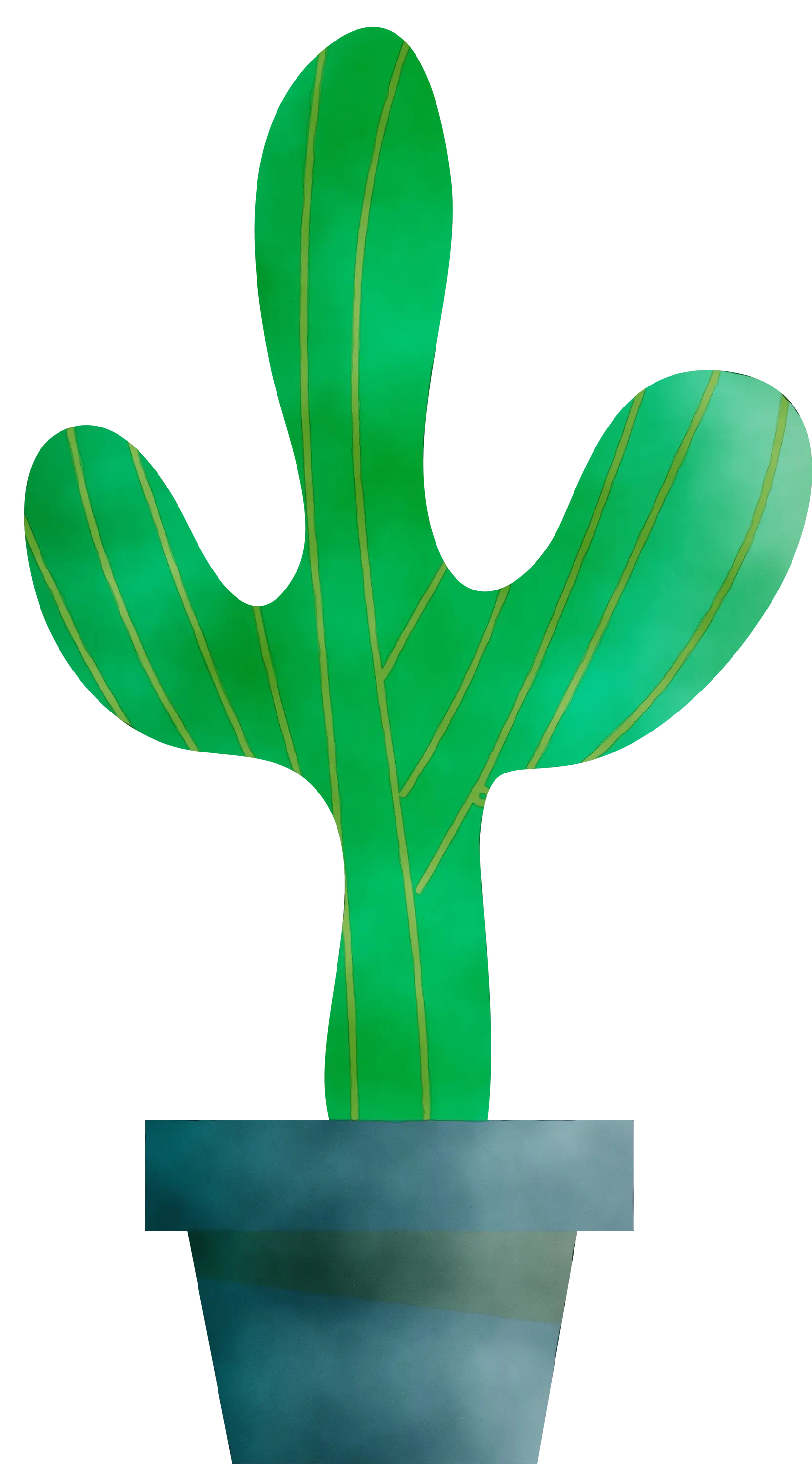 Potted Green Cactus Plant