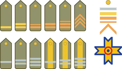 Military Rank Insignia Collection