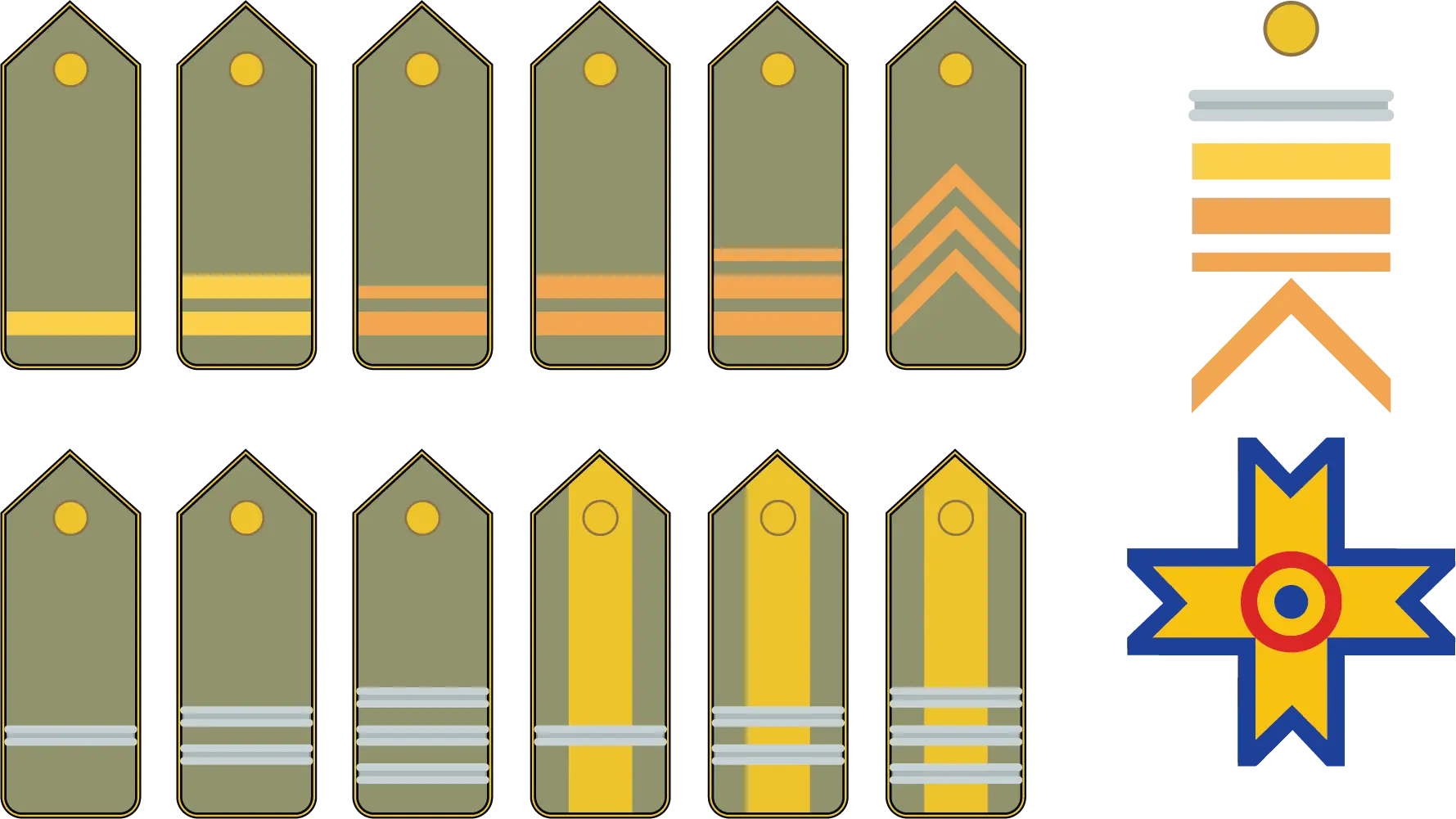 Military Rank Insignia Collection