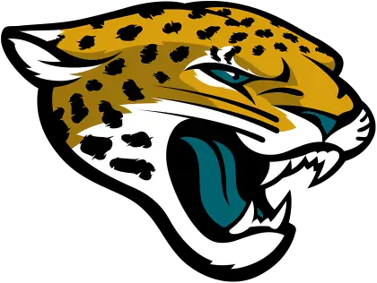 Fierce Jaguar Head Illustration