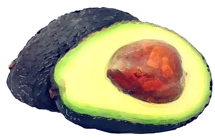 Sliced Avocado Illustration