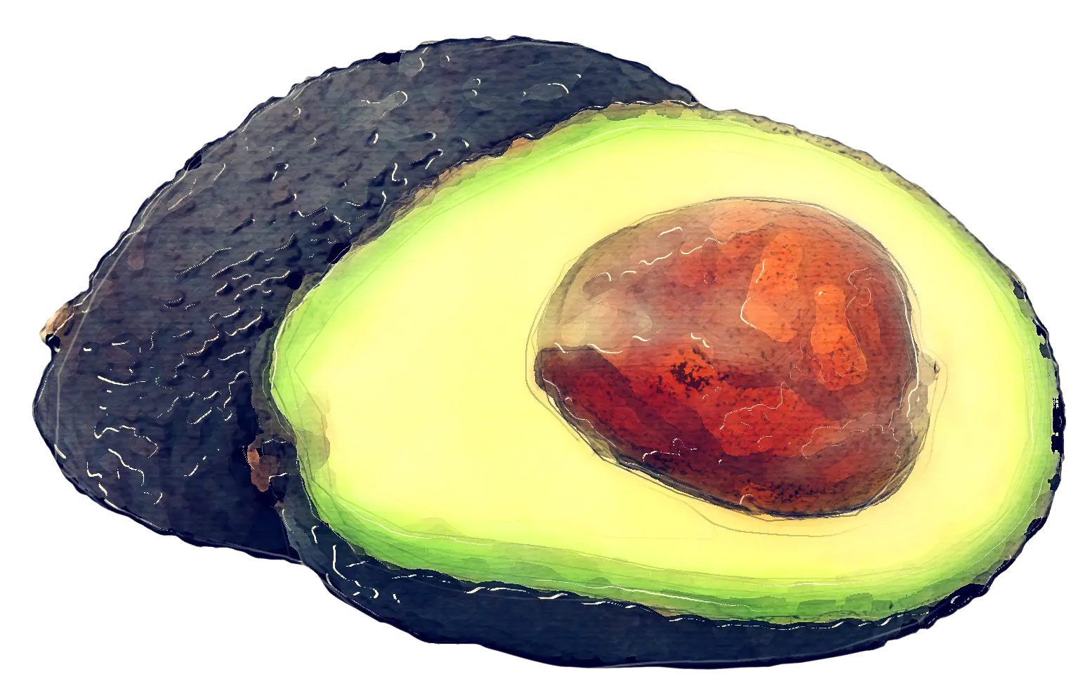Sliced Avocado Illustration