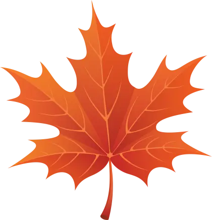 Orange Maple Leaf for Autumn