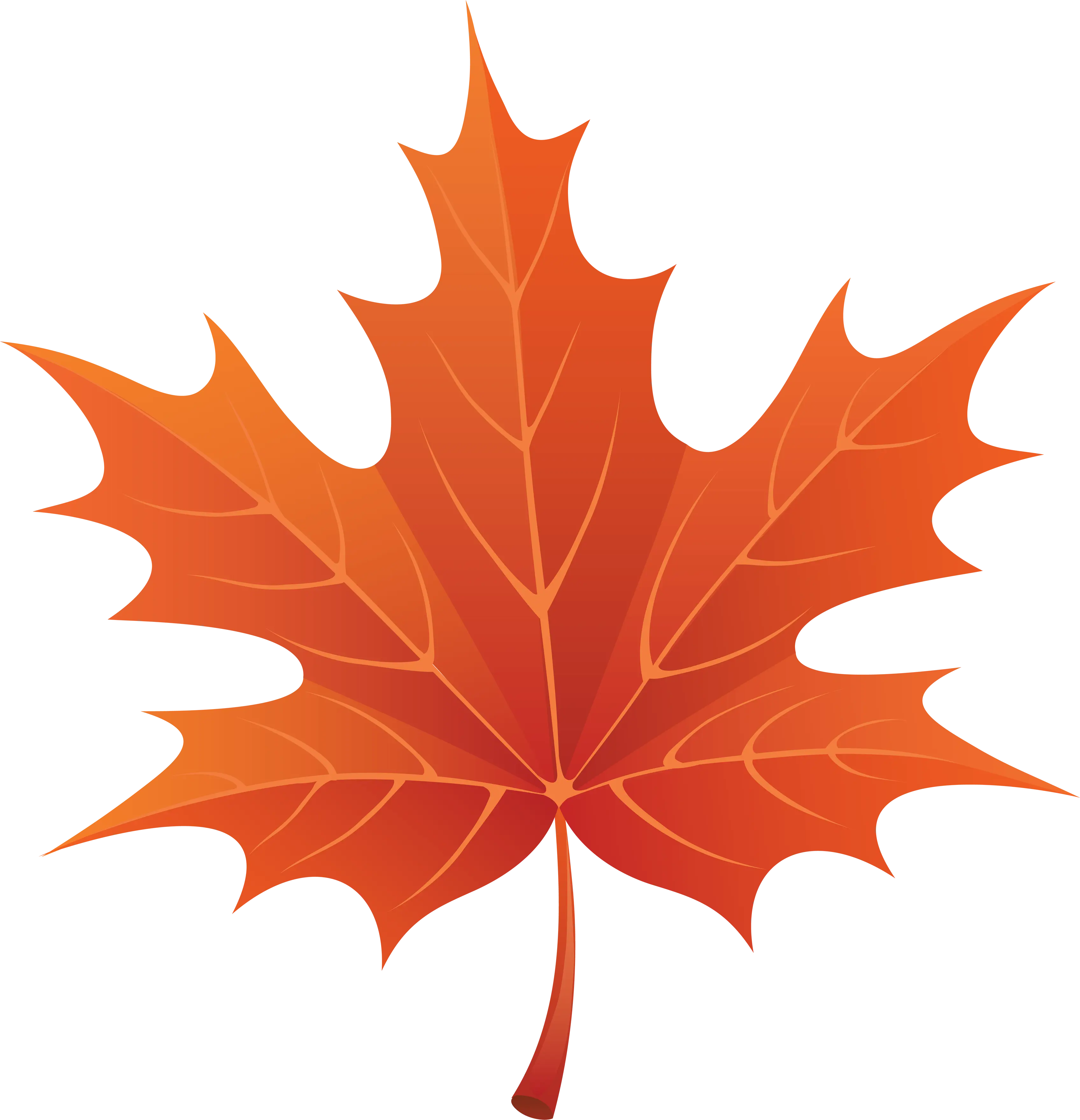 Orange Maple Leaf for Autumn