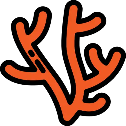Orange Coral Illustration