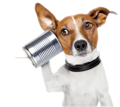Creative Dog with Tin Can Phone