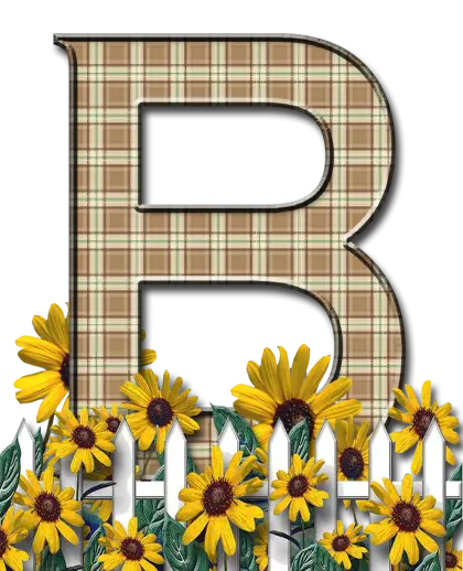 Plaid Letter B with Sunflowers