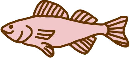 Cartoon Fish Illustration in Pink