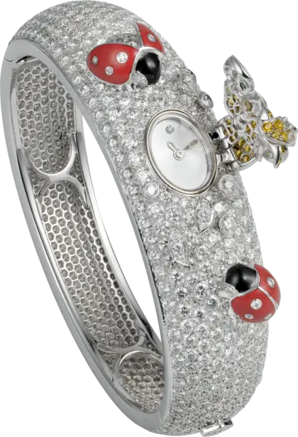 Elegant Luxury Watch with Jewels