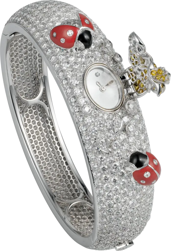 Elegant Luxury Watch with Jewels