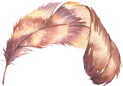 Brown Feather Illustration