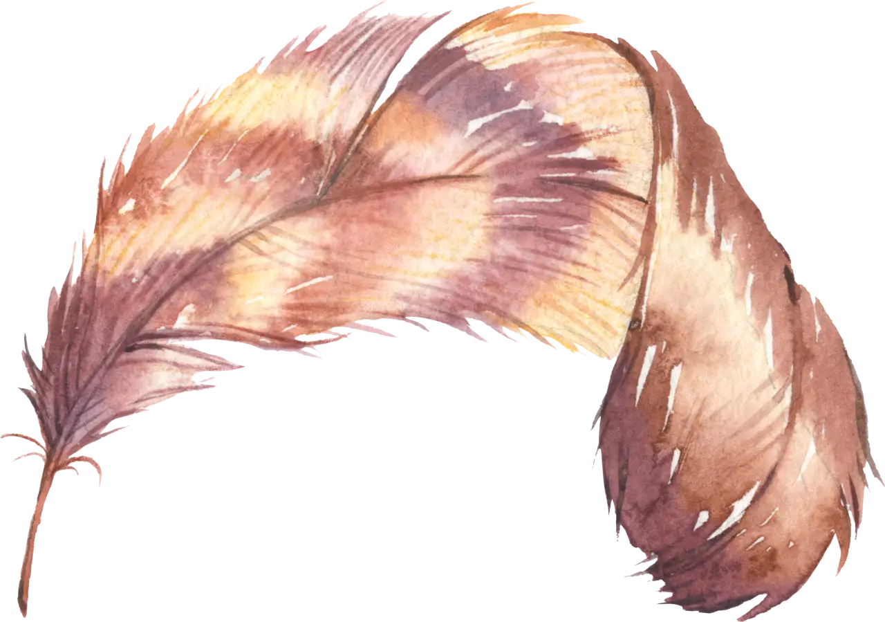 Brown Feather Illustration