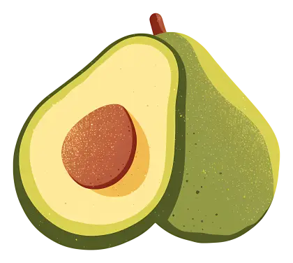 Half Avocado Illustration
