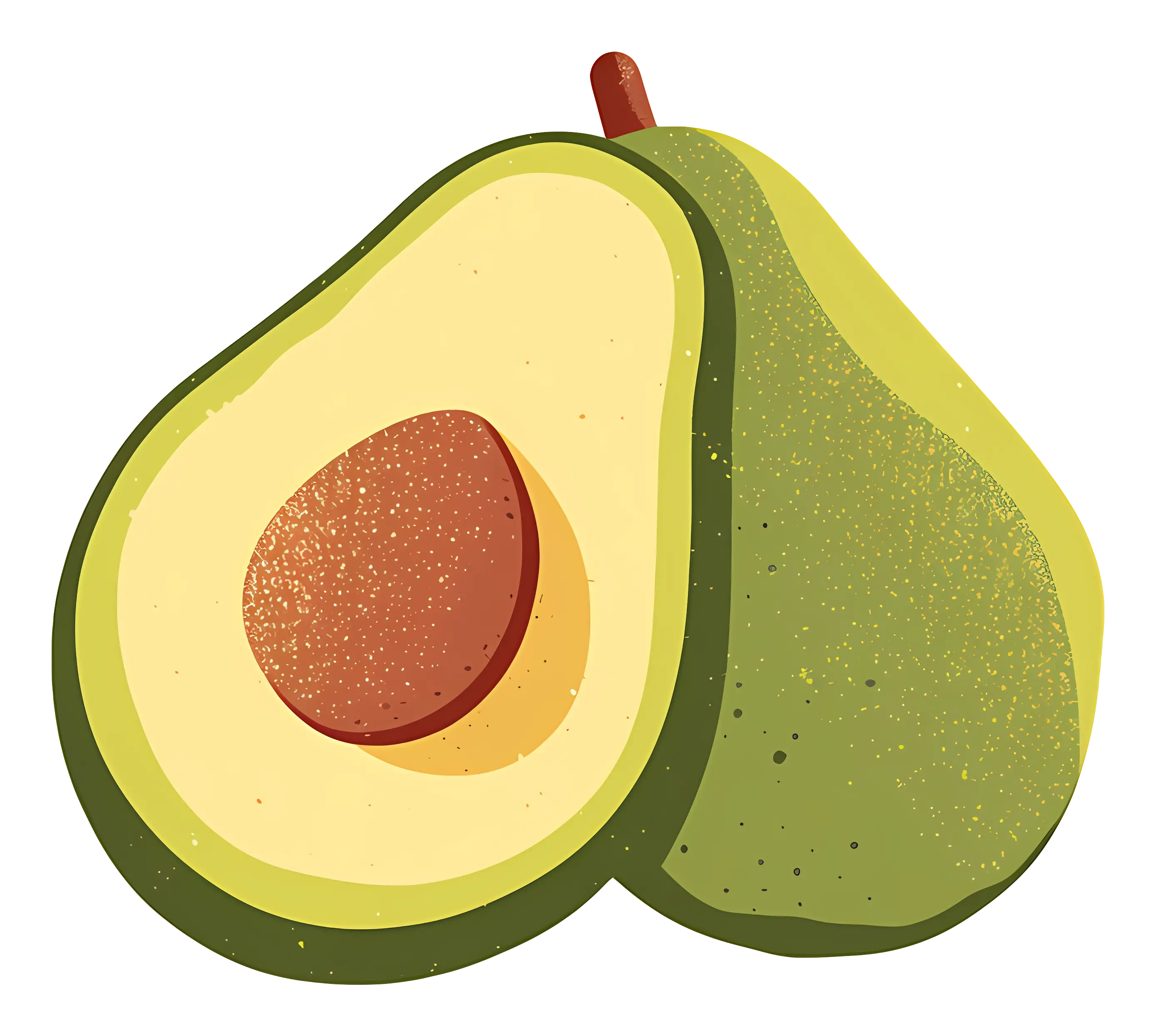 Half Avocado Illustration