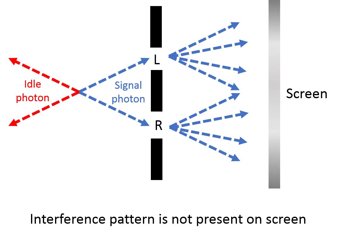 Photon Interference Pattern Diagram