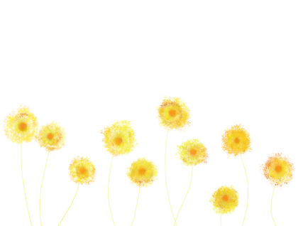 Field of Yellow Dandelion Flowers