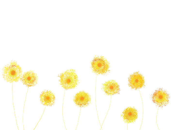 Field of Yellow Dandelion Flowers