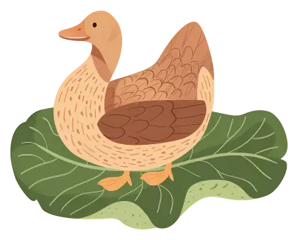 Brown Duck on a Leaf