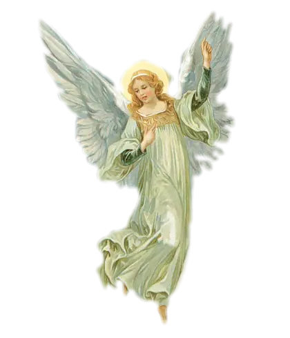Graceful Angel Illustration with Wings