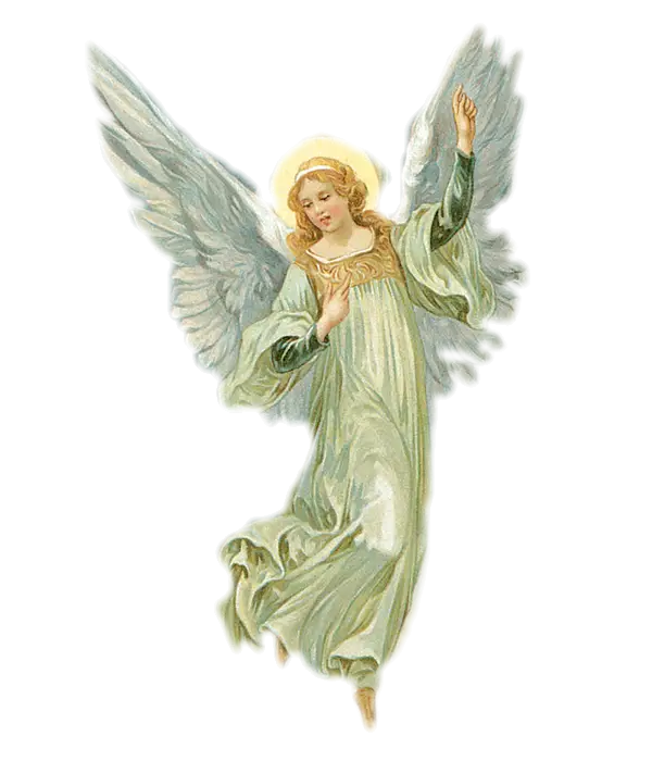 Graceful Angel Illustration with Wings
