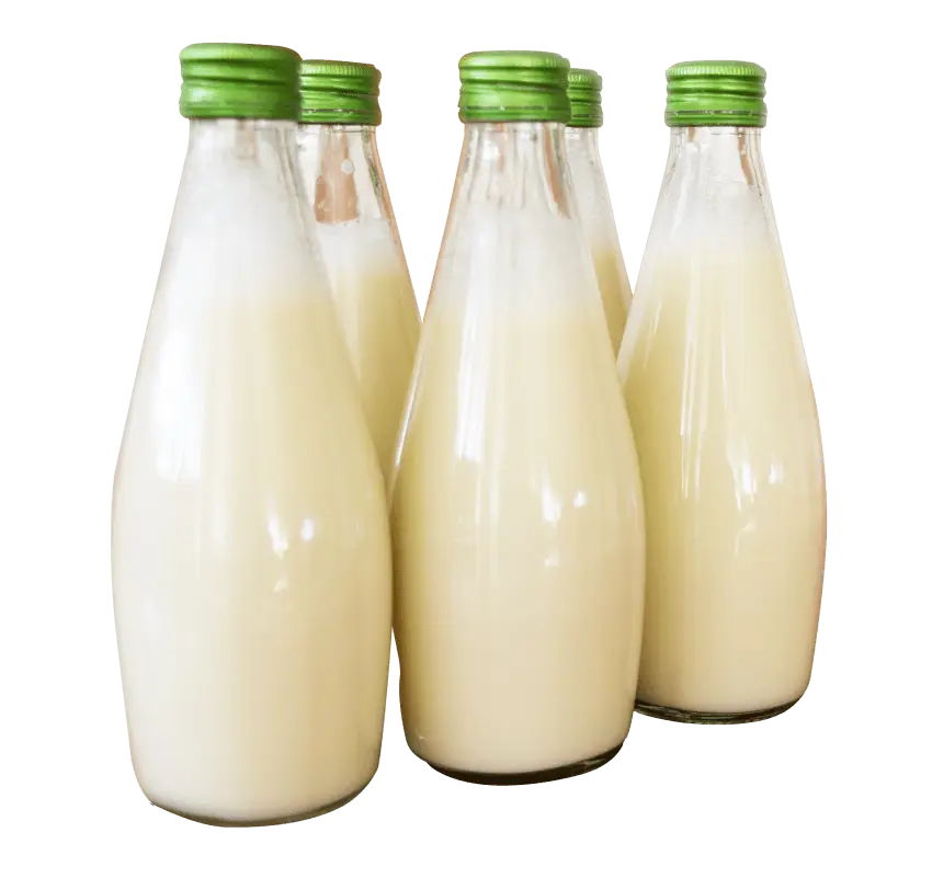 Glass Milk Bottles with Green Caps