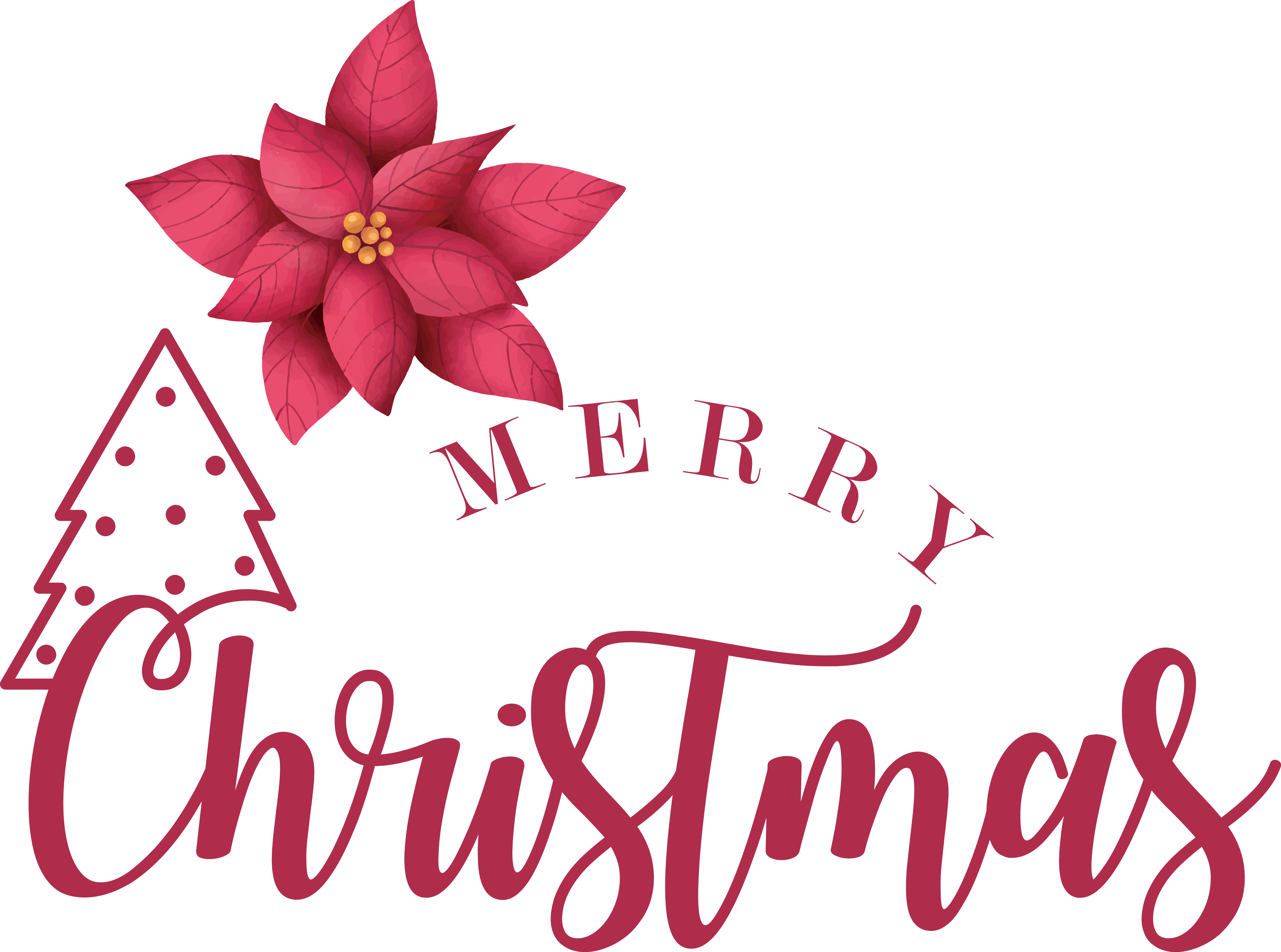 Merry Christmas Greeting with Poinsettia
