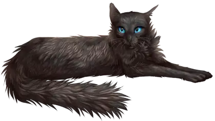 Relaxed Black Cat with Blue Eyes