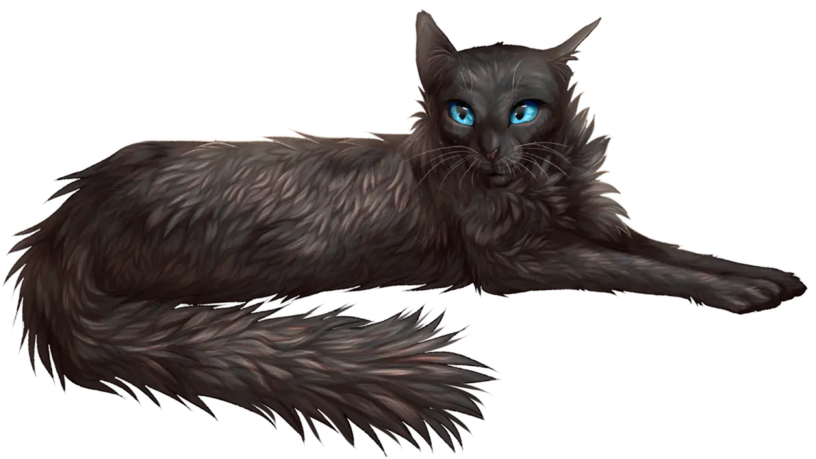 Relaxed Black Cat with Blue Eyes