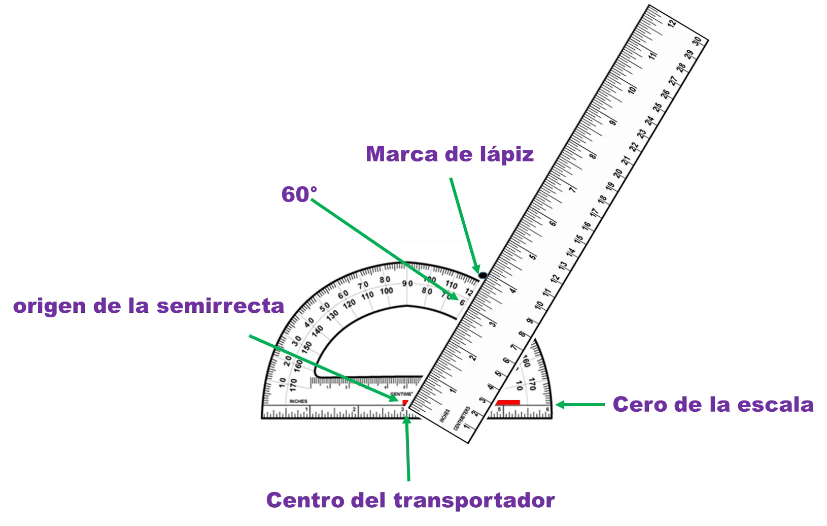 Protractor and Ruler for Geometry