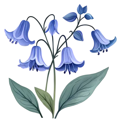 Bluebell Flowers with Green Leaves