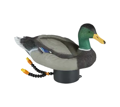 Duck Decoy for Hunting
